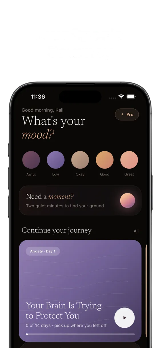 MindFinder app screen
